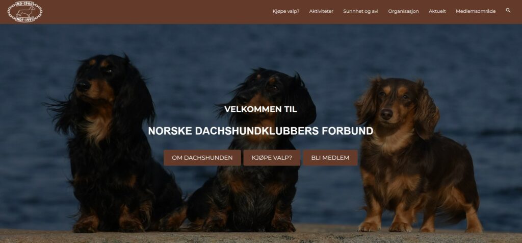 Norske Dachshundklubbers Forbund